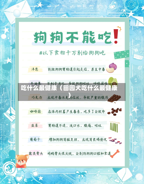 吃什么最健康(田园犬吃什么最健康)-第1张图片